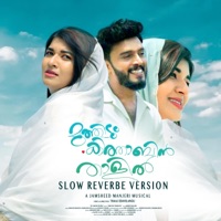 Muthidum Kithabin -Slow Reverbe (feat. Shabnam Rafeeque) - Single - Jamsheed Manjeri