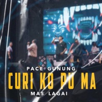 Curi Ko Pu Ma - Single - Pace Gunung & Mas Lagai