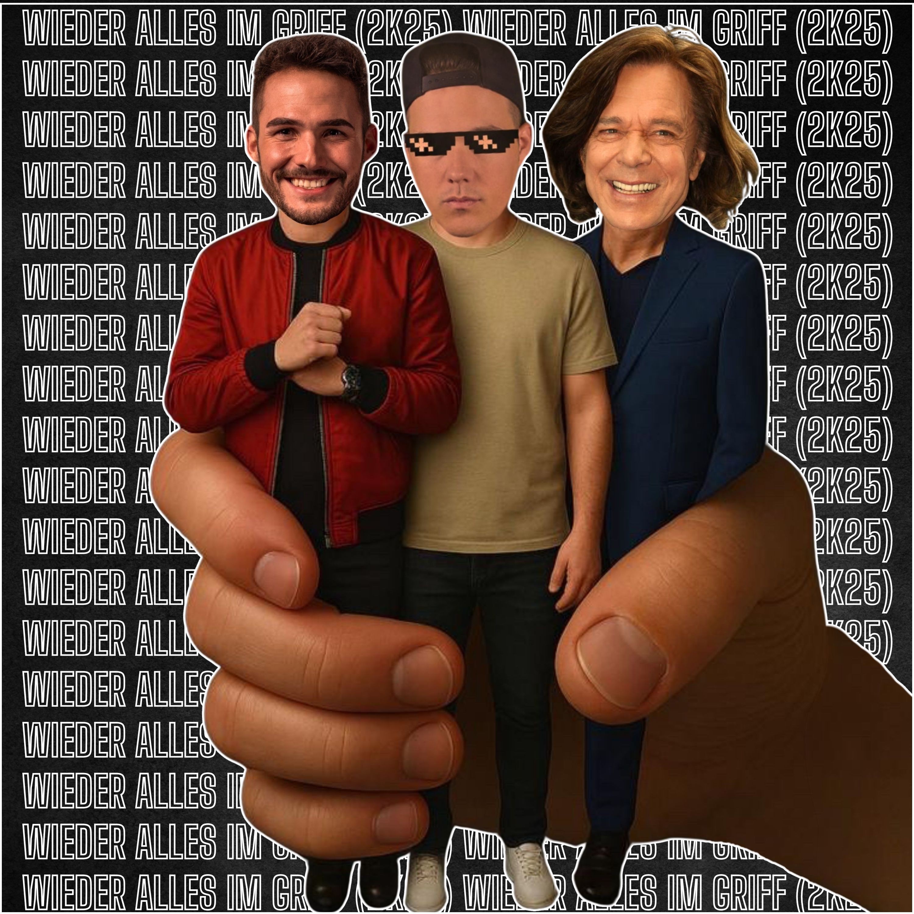 Wieder Alles Im Griff (2K25) - Single