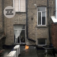 Album cover for The Caretaker by Jay-Jay Johanson