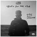 Livin In The USA