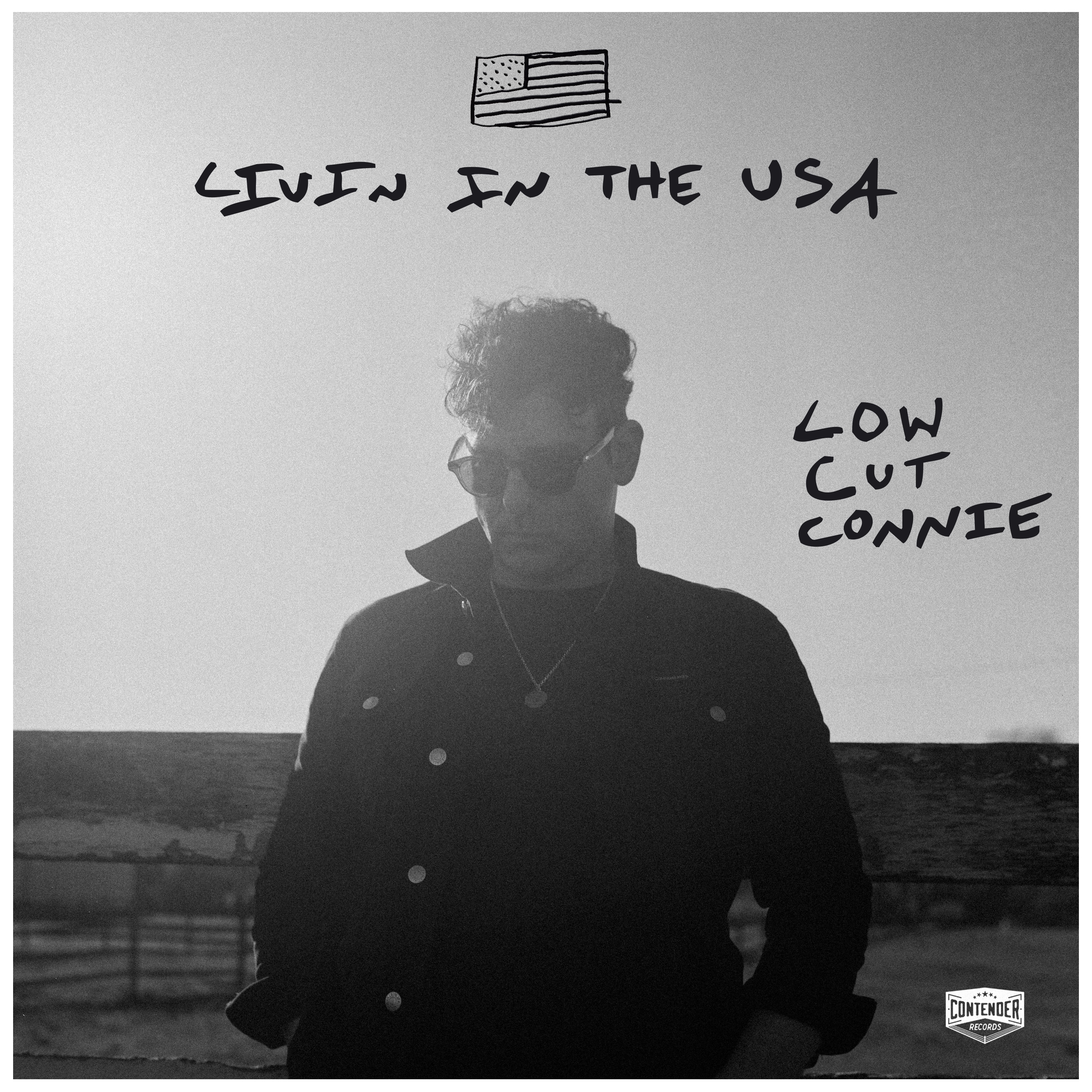 Livin in the USA - Single