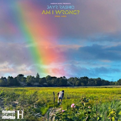 Am I Wrong - Single