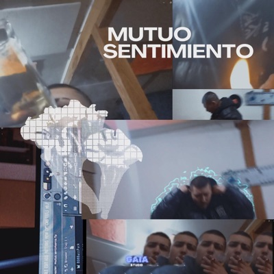Mutuo Sentimiento (feat. dvrmv) - Single