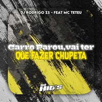 Carro Parou, Vai Ter Que Fazer Chupeta (feat. Mc Teteu) - Single - DJ RODRIGO DA ZS & Só Hits Records