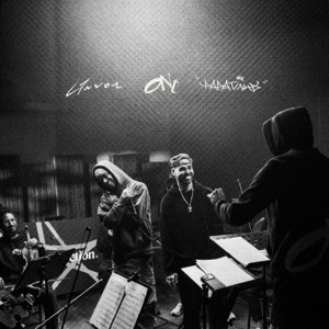 Celebrando A Vida - Single