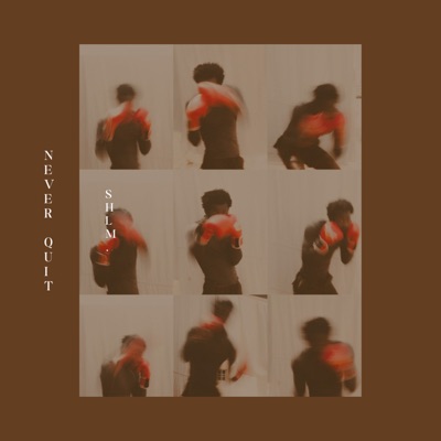 Never Quit - Single