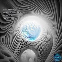 Echoes of the Past, Pt. 2 (Radio Edit) - EP - Brickman
