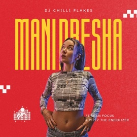 MANI PRESHA (feat. Sean Focus & Pillz the Energizer) DJ Chilli Flakes