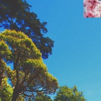 little garden - Single - Juca & Julian Calor