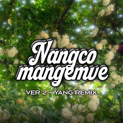 Nắng có mang em về (Yang Remix Ver. 2) - Single