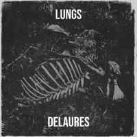 Lungs - Single - Delaures