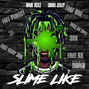 Zlime Like (feat. 3Boi Zelly)
