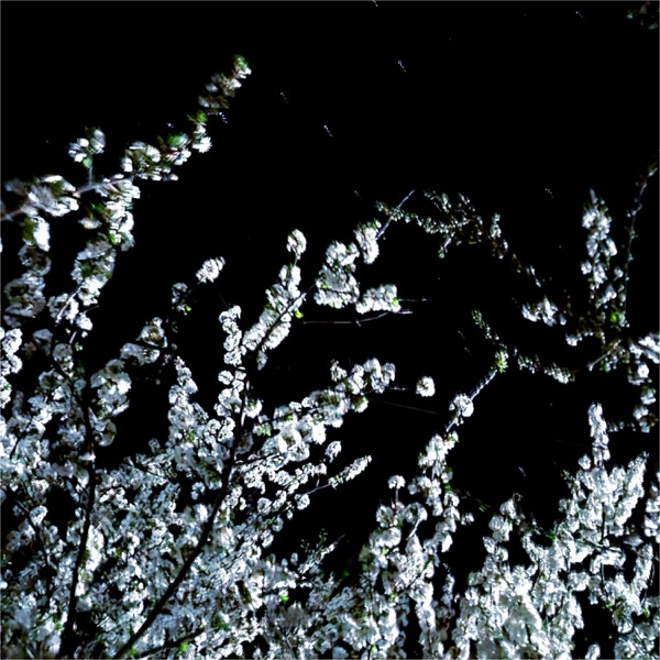 Daydream - EP