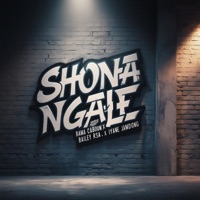 Shona Ngale - Single - Bama Caboom, Bailey RSA & Iyane Jamdong