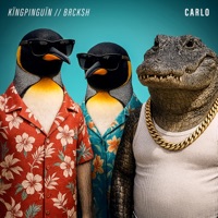 Carlo - Single - kïngpinguïn & BRCKSH