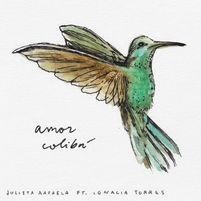 Amor Colibrí (feat. Ignacia Torres) - Single