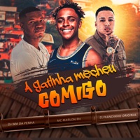 A Gatinha Mecheu Comigo - Single - DJ Nandinho Original, DJ WM DA PENHA & MC Marlon PH