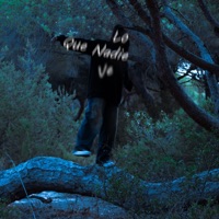 Lo que nadie ve - Single - Yume