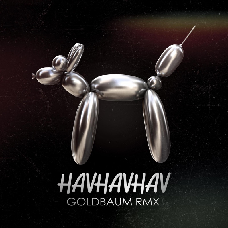 HAVHAVHAV (Radio Edit)