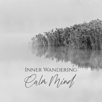 Inner Wandering, Calm Mind - Relieving Stress Music Collection