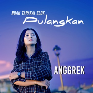 Ndak Tapakai Elok Pulangkan Album Art