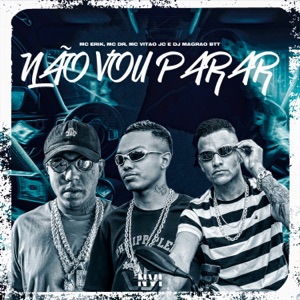 Não Vou Parar (feat. DJ Magrão do Btt)