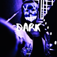 Dark (feat. 2Viral Tyla) - Single - thevillain267