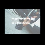 Different strains - Single