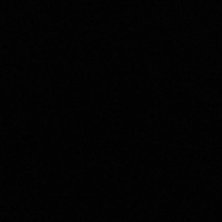 Fig Lights - Single - Sm9