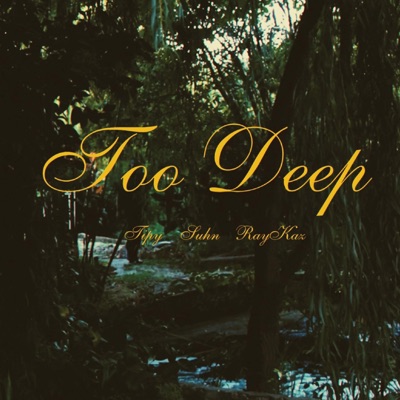 Too Deep (feat. Suhn & RayKaz) - Single