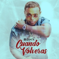 Cuando Volveras (feat. Polancgraphs) - Single - Bony