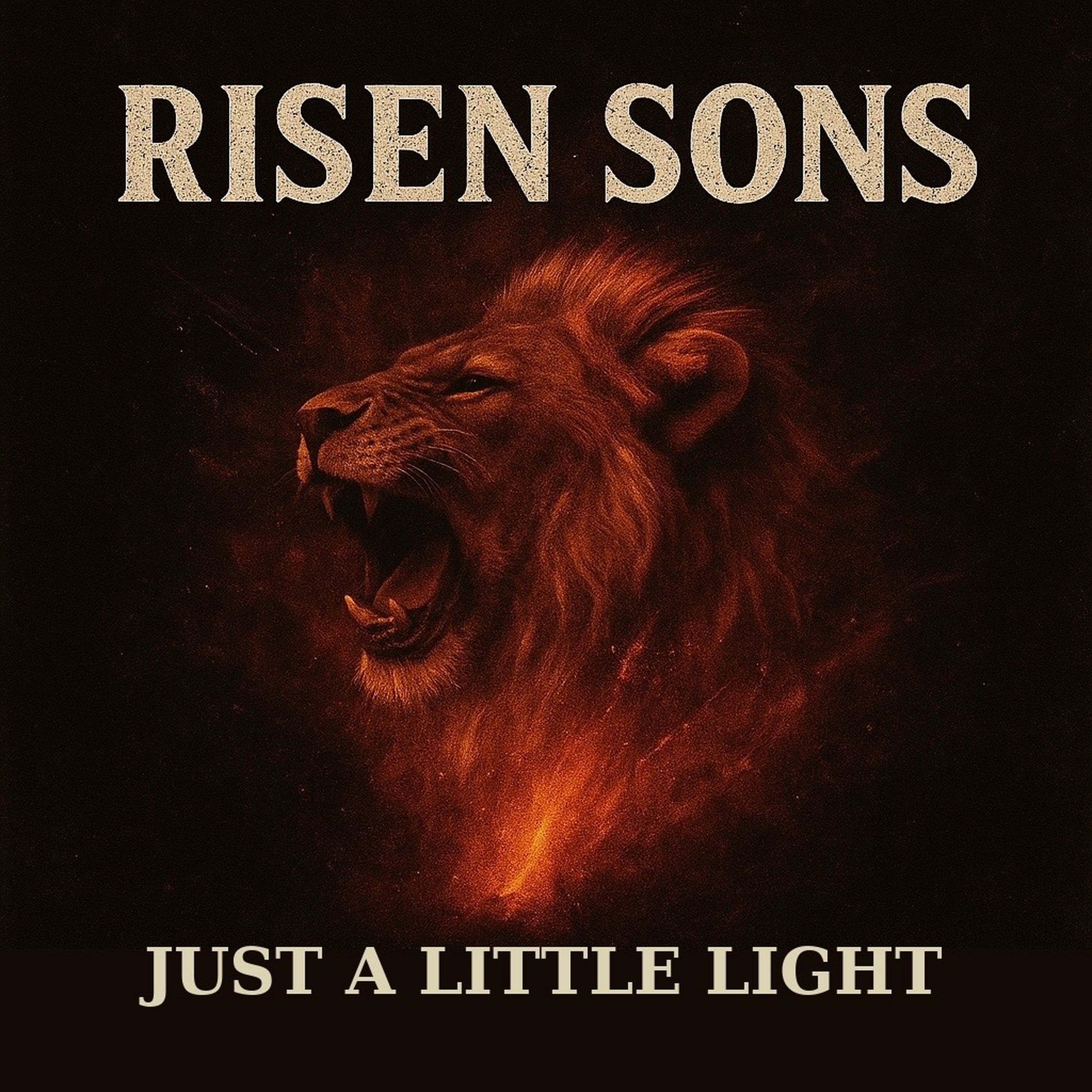 Just a Little Light (Acoustic) - Single