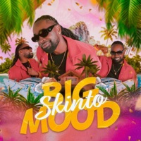 Big Mood - EP - Skinto