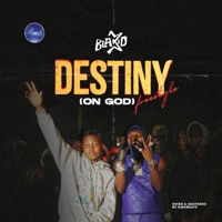 Destiny - Single - Blakid
