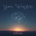 You Wonder