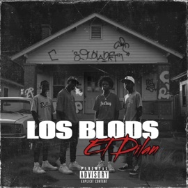 Como Conquistar Un Amor (feat. Original Fat, FREDDY SKY & Amadis) El Dilan, Hitz Records & Pty Audio