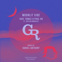 Moonlit Vibe (feat. Hector Moralez) - Single - Jake Tomas & Paul HG