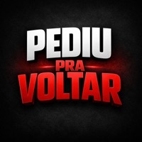 pediu pra voltar - Single - lilipe dj