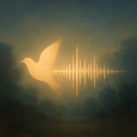 Dönüşüm Tınıları - Single - KAWAD