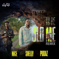Bye to de Old Me (feat. Shelly, Nice & Dirty Dawg Pudaz) [Remix] - Single - Signal Band