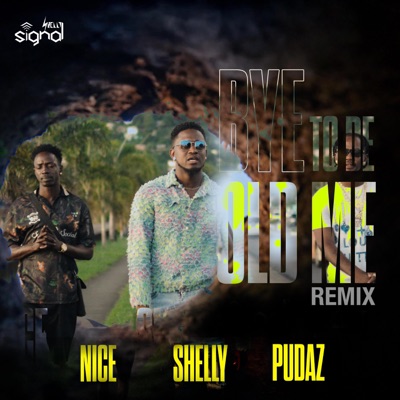 Bye to de Old Me (feat. Shelly, Nice & Dirty Dawg Pudaz) [Remix] - Single