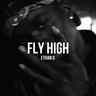 Fly High - Single