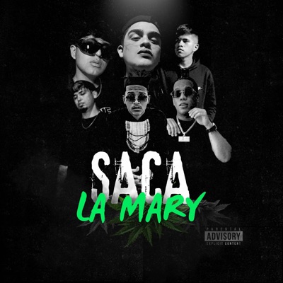 Saca La Mary (feat. JS Producer, Elio Hl, Sayru, Davlsound & Lujuria) - Single