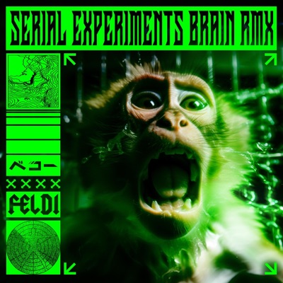 SERIAL EXPERIMENTS BRAIN (feat. FELDI) [RMX] - Single