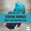 Stefan Torres - Don't you want my love artwork