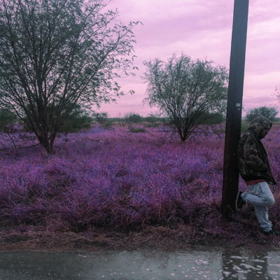 The Bottom (feat. Sonniie) - Single