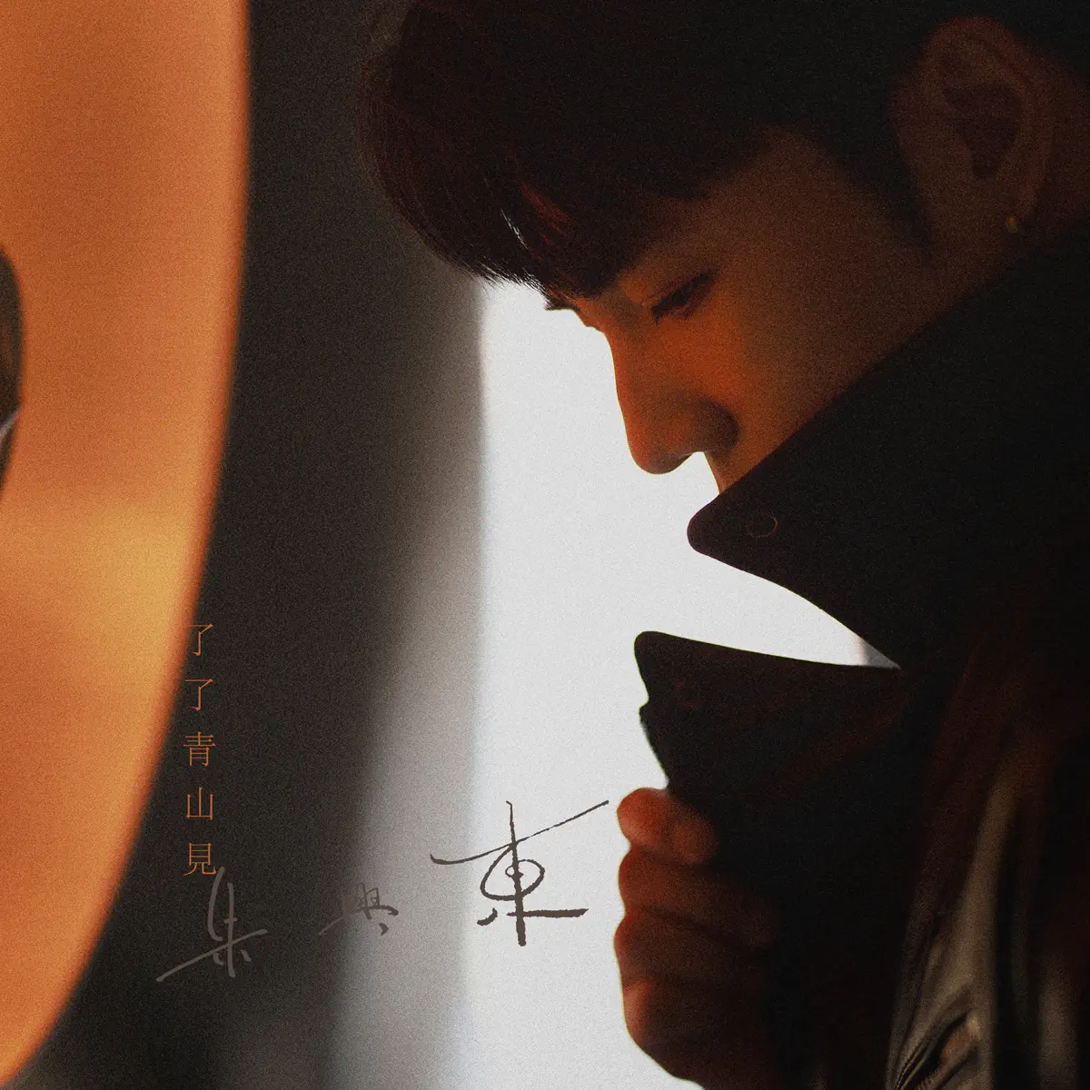 朱兴东 - 了了青山見 - Single (2024) [iTunes Plus AAC M4A]-新房子