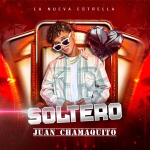Soltero