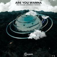 Are You Wanna - Single - Phil Phauler & Aleksandar Vidakovic